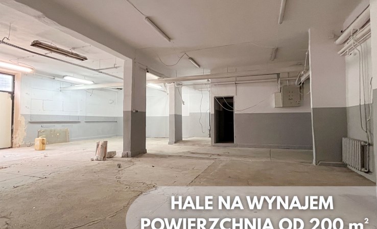 hala na wynajem - Wasilków