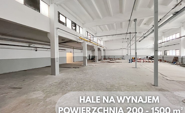 hala na wynajem - Wasilków